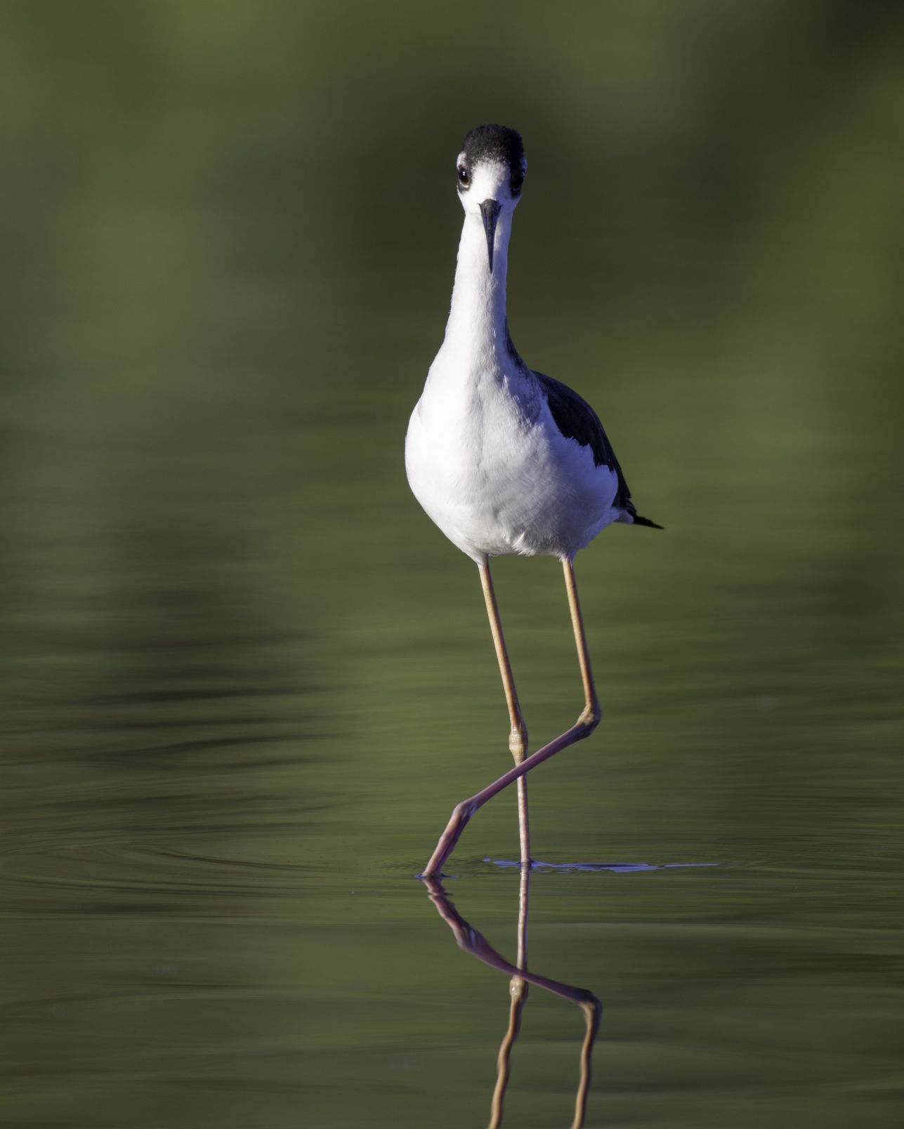 Adventures in Nature Student Photo Contest / Sean Stubben